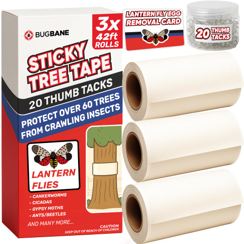 Spotted Lantern Fly Trap for Trees. 3 Sticky Fly Paper Rolls with Pins and Egg Scraper. Bug Tree Tape Wrap Ant Barrier Spotted Lanternfly Killer. Lantern Flies Tape for Trees Glue Insect Barrier