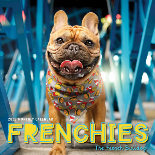 Frenchies Calendar 2025 | French Bulldogs 12” x 24” Interactive Wall Calendar 12 Month | Marble City Press | Dogs Bulldog Frenchie Fun Facts | 2024-2025 Calendar Frenchies Calendar 2025 | French Bulldogs 12” x 24” Interactive Wall Calendar 12 Month | Marble City Press | Dogs Bulldog Frenchie Fun Facts | 2024-2025 Calendar