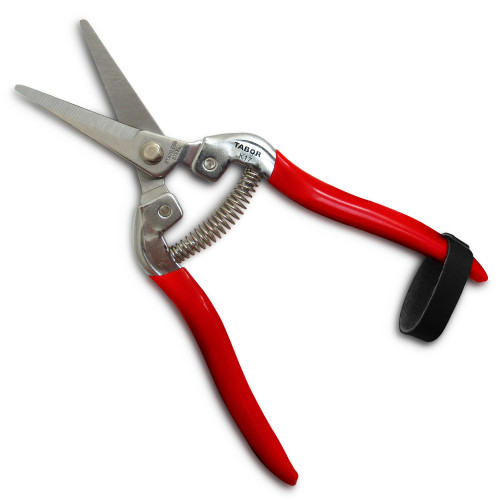 TABOR TOOLS Pruning Shears, Florist Scissors, Multi-Tasking Garden Snips for Arranging Flowers, Trimming Plants and Harvesting Herbs, Fruits or Vegetables. K17A. (Straight, Stainless Steel Blades) TABOR TOOLS Pruning Shears, Florist Scissors, Multi-Tasking Garden Snips for Arranging Flowers, Trimming Plants and Harvesting Herbs, Fruits or Vegetables. K17A. (Straight, Stainless Steel Blades)