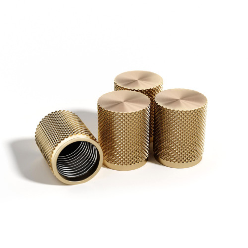STEEL HAWK 316L Stainless Steel Tire Valve Caps, 4-Pack | STD/PVD RG