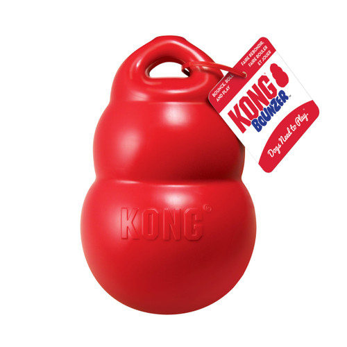 KONG - Bounzer - Large