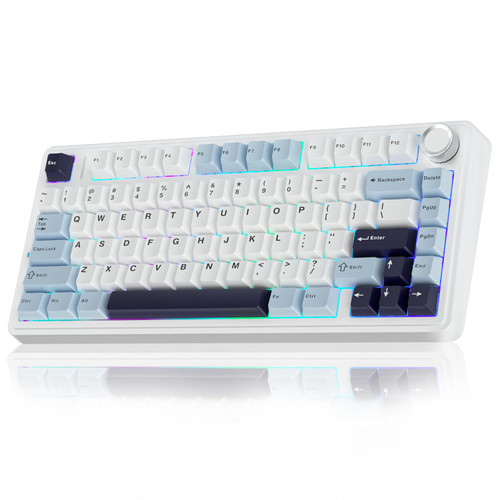 AULA F75 75% Wireless Mechanical Keyboard, Hot Swappable Creamy Keyboard, Pre-lubed Reaper Switches, 2.4GHz/Type-C/BT5.0, RGB Backlit Gaming Keyboards(White & Blue) AULA F75 75% Wireless Mechanical Keyboard, Hot Swappable Creamy Keyboard, Pre-lubed Reaper Switches, 2.4GHz/Type-C/BT5.0, RGB Backlit Gaming Keyboards(White & Blue)
