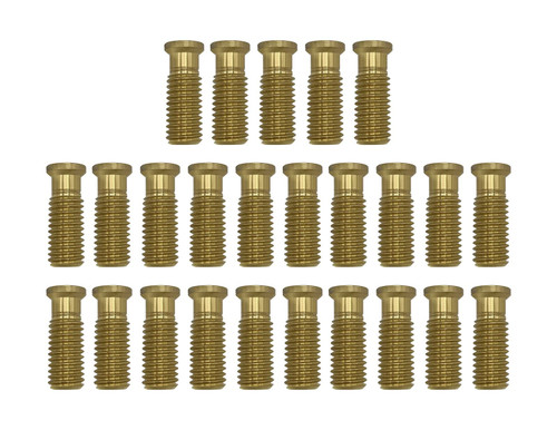 Poolzilla [25] Pool Safety Cover 1 1/2" Extended Brass Screw for Anchors
