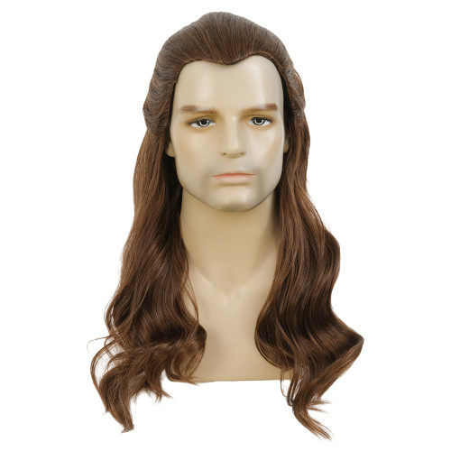 Tseses Long Brown Curly Wavy Wigs for Men Mullet Wig Natural Rocker Heat Resistant Synthetic Fiber Hair for Cosplay Funny Halloween Costume