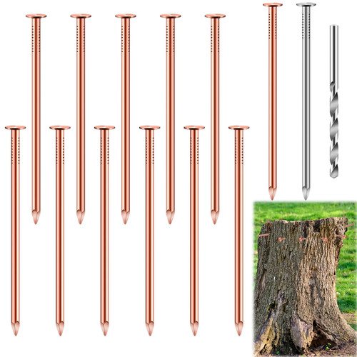 14Pcs Copper Nails Kit to Killing Trees,Includes 12PCS 3.5 Inch Pure Copper Nails Bulk,Stump Removal Spikes Hardware Nails for Trees, Stumps,Landscaping, and Hobbies