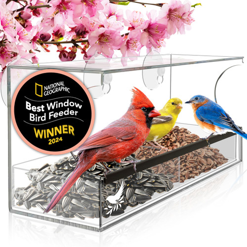Window Bird Feeder by Nature's Hangout - Award-Winning Transparent Acrylic Bird Feeders for Outdoors, No Assembly, Strongest Suction Cups, Birds Watching for Cats, Easy-to-Clean Birdhouse Feeder