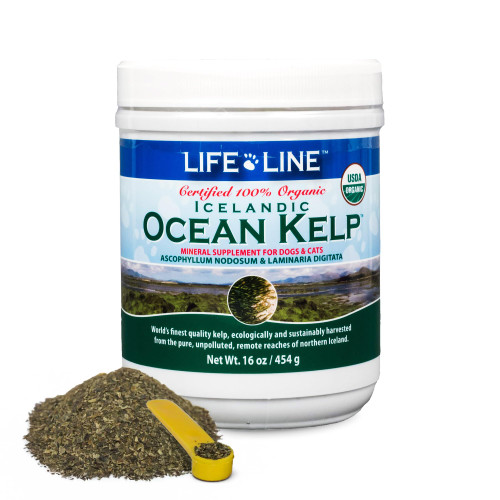 Life Line USDA Certified Organic Ocean Kelp for Pets & Livestock | Supports Skin & Coat Health, Immune Function, and Dental Hygiene | Promotes Metabolism & Reduces Plaque and Shedding – 16 oz