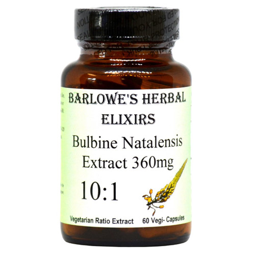 Barlowe's Herbal Elixirs Bulbine Natalensis |10:1 Extract | 360mg per Capsule | 60 Veggie Capsules | Bottled in Glass | Stearate Free