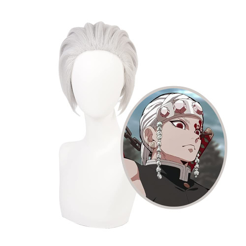 ZGNGLIZ Anime Cosplay Wig Long Short Synthetic Hair for Halloween Costume Party with Free Wig Cap (Short Silver Gray)