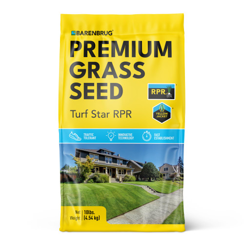 Barenbrug Turf Star Regenerating Perennial Ryegrass Lawn Seed with Yellow Jacket Seed Coating, Fast-Acting Durable Grass Seed Mix for Lawns, 10-lb. Bag