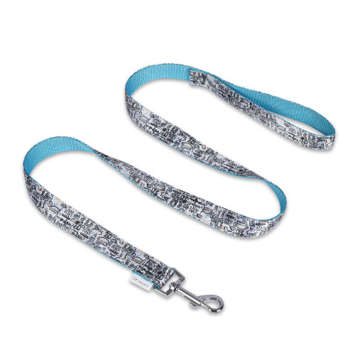 Friends TV Show City Doodle Dog Leash, 6 Ft (72 Inches) | Cute Blue Leash for Dogs & Harnesses