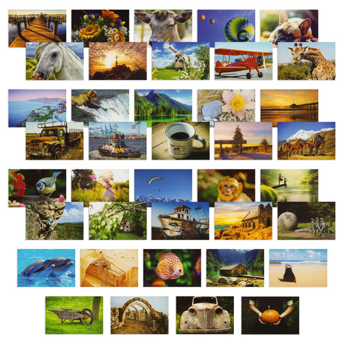 BEST PAPER GREETINGS 4x6 Blank Postcard Set - Photo Postcards for Mailing - Pack of 40, 250gsm, Multi, Wild Animals