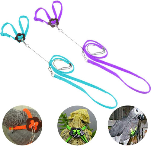 Bonaweite 2 Pack Adjustable Harness Leash, Pet Birds Nylon Anti-bite Training Hraness Outside Walk for Parrot African Grey Cockatoo Macaw Ringneck Parakeet Cockatiel Reptile Lizar