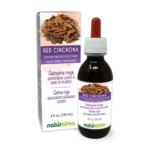 Naturalma Red Cinchona or Quinine (Cinchona pubescens or succirubra) bark Alcohol-Free Tincture - 4 fl oz Liquid Extract in Drops - Herbal Supplement - Vegan