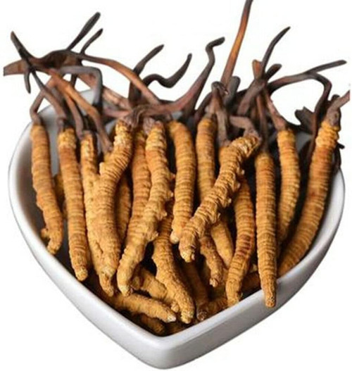 Generic Wild Himalayan Yarsha Gumba Or Cordyceps Sinensis Large Pieces 5 Gram from Lamjung Nepal