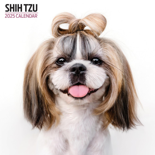 Shih Tzu 2025 Modern Calendar