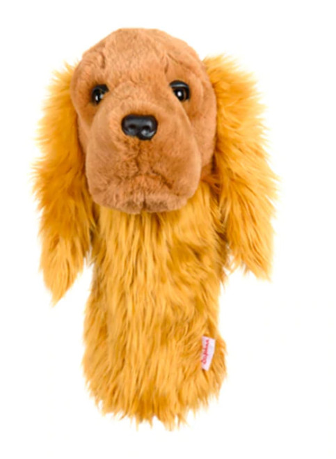 Cocker Spaniel, Does Not Apply