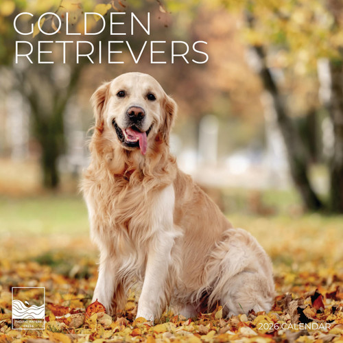 2026 Golden Retriever Wall Calendar | 12" x 24" Open | Giftable | Dog Calendar 2026 | Thick & Sturdy Paper for Calendar Organizing & Planning | Pacific Waters Press (Golden Retriever)