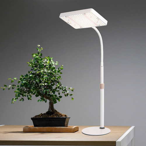 JINHONGTO Tabletop Grow Light LED Full Spectrum UV IR, Veg Seed Starting Seedlings Bonsai Houseplant Plant Light, Desk Grow Lights for Indoor Plants, 16"-24" Height Adjustable