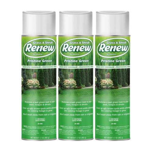 ‎Seymour Paint 20-602 Grass and Shrub Renew, Pristine Green – Professional-Grade Brown Spot Concealer, Easy Point and Spray Application (17 oz). (Pack of 3)