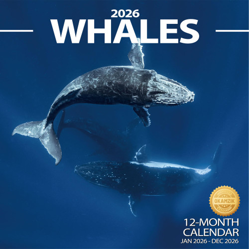 2026 Wall Calendar Whale Planner Calendar, Hangable Monthly Wall Calendar with Large Blocks for Organizing & Planning, Academic Schedule, Home, Office & family, Thick & Sturdy Paper (12"x24" Open)