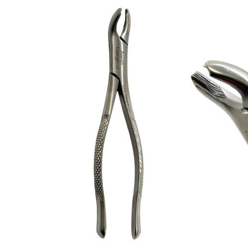 Dental Extraction Plier Syle Forceps for Extracting Upper and Lower Teeth, Upper and Lower Molars, 1st, 2nd, and 3rd - German Stainless Steel Dental Instruments (No. 217 - Universal, Cowhorn Beak)