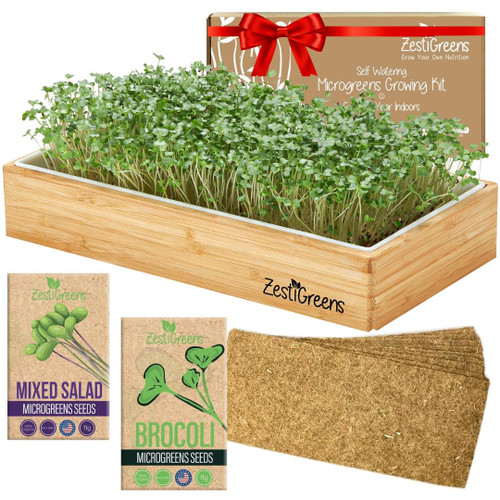 Self-Watering Microgreens Growing Kit – Easiest Way to Grow Fresh Microgreens at Home. Includes Reusable Tray, Organic Seeds, Grow Mats & Stylish Bamboo Frame – No Soil, No Mess (Salad & Broccoli)
