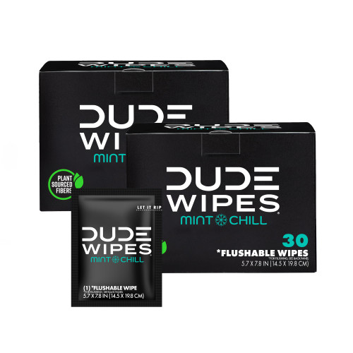 DUDE Wipes - On-The-Go Flushable Wipes - 2 Pack, 60 Count - Mint Chill Extra-Large Individually Wrapped Adult - with Eucalyptus & Tea Tree Oil - Septic and Sewer Safe-1765338986