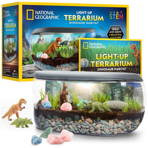 National Geographic Light Up Terrarium Kit for Kids - Build a Dinosaur Habitat with Real Plants & Gemstones, Science Kit, Dinosaur Toys for Kids (Amazon Exclusive)