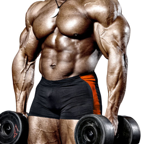 palglg Men's Compression Sport Shorts Cool Dry Tights Workout PLN BO M