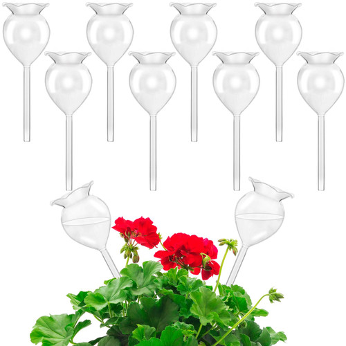 Haawooky 8 Pack Self Watering Globes,Clear Glass Plant Water Bulbs,Hand Blown Automatic Plant Waterer Device for Indoor Outdoor Plants-1765815579