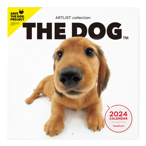 [ArtlistCollectionTHE DOG] Wall Calendar ≪Dachshund≫ 2024