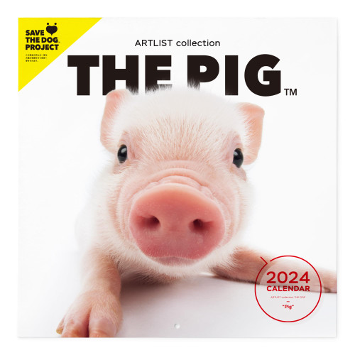 [ArtlistCollectionTHE DOG] Wall Calendar ≪THE PIG≫ 2024
