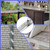 80 inches Bird deterrents for Outside and cat Spikes，Suitable for Pigeon Spike for Garden Fence Spikes and Wall,Barns Roof and Squirrel Guard Baffle with Steel Bird Spikes Stripes