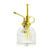 Ebristar Glass Plant Mister Spray Bottle, Vintage Plant Water Spritzer, Succulent Watering Bottle with Gold Top Pump, Decorative Glass Sprayer Mister Small Watering Can for Indoor Houseplant - Clear
