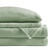 True North by Sleep Philosophy Plush Sheet Set Queen, Solid Color, Warm & Soft Bedding Queen Size Sheets, Fitted Pocket Fits Up to 16" Mattress, Soloft, Queen, Green, 4 Piece