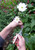 Okatsune No. 412 Whetstone for Pruning Shears 2.1 oz (60 g)