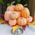 Winlyn 10 Pcs Assorted Artificial Orange Pumpkins Decorative Pumpkins Faux Light Orange Pumpkins Foam Pumpkins for Fall Harvest Autumn Wedding Thanksgiving Halloween Table Centerpiece Mantel Décor