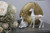 2 Pieces Elegant Christmas Reindeer Resin Statues for Home Decoration Sitting and Standing Elegant Luxury Deers 12" Tall Deers Decoration (White)