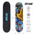 Tony Hawk 31 inch Skateboard, Tony Hawk Signature Series 3, 9-ply Maple Deck Skateboard for Cruising, Carving, Tricks and Downhill, Diamond Hawk