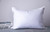 ArcticNorthDown Goose Down Feather Hotel Collection Bed Pillows for Sleeping Pair Standard Pillows for Back, Stomach or Side Sleepers Stripe White Color Set of 2 Pillows