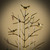 MORE&LESS Branch Jewelry Rack with metal tray,Luxury color,Tree Tower Rack Hanging Organizer for Ring Earrings Necklace Bracelet,Suitable for living rooms, bathrooms,offices,etc.
