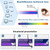 REAVEE 3 Pack Folding Reading Glasses for Men Women, Blue Light Blocking Computer Readers Spring Hinge with Small Compact Case, Black Blue Grey 2.5