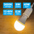 12-60V DC LED Bulbs E26 Low Voltage Light Bulb 6W Medium Screw Base, 3000K Warm Light Color, 12V Regular A19 Light Bulb Edison, 12 Volt AC 550LM Lamp 24V 32V 36V 48V LED Bulb, Not for 120V, 4Pack