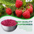 Freeze Dried Raspberry Pieces, 3.53OZ Dried Raspberries, Freeze Dried Fruit, No Sugar Added, Freeze Dried Fruit Snacks for Baking, Garnishing, Cakes, Chips, Beverages, Yogurt, Cereal