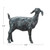 Creative Co-Op Resin Standing Goat Accent Décor with Cast Iron Finish, Black