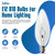 SATONA 60W 120V E12 Base B10 CTC Incandescent Light Bulbs, Transparent Candle Light Bulbs Perfect for Chandeliers, Ceiling Fan Lights, Pendants, Fireplace, Dimmable, Warm White 2700K (Pack 12)