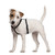 FidoRido Dog Car Seat Harness - Secure & Comfortable Travel Supplies for Dogs in Vehicles, Keep Your Pet Safe, Sturdy Buckle, Dog Travel Accessories, Adjustable Sizes, Black - Small, 8" - 16"
