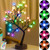 Pooqla RGB Cherry Blossom Tree Light with Remote 28 Colors LED Artificial Flower Bonsai Tree, RGB Table Top Lamp Home Lit Tree Valentine's Day Christmas Decoration 36 LED, Brown Branch
