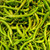 Piparras Basque Green Peppers in Brine - 64 oz / 1.8 kg